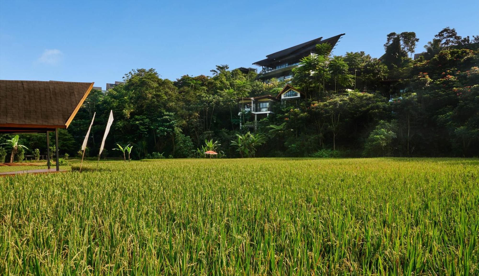 Pullman Ciawi Vimala Hills Resort Bogor Exterior photo