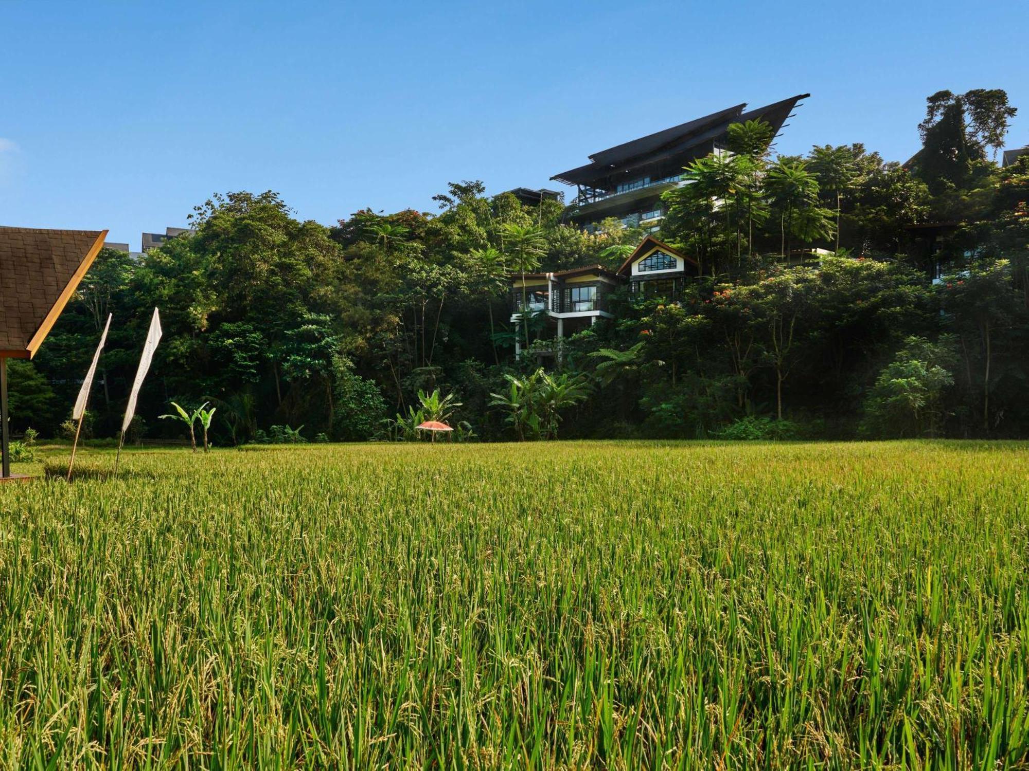 Pullman Ciawi Vimala Hills Resort Bogor Exterior photo